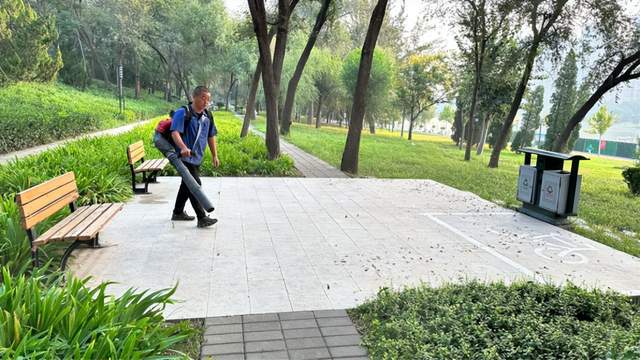 德州锦绣川景区：深天博电竞网站度保清白化境况细致处置接待双节(图3)